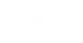 LF Consultoria